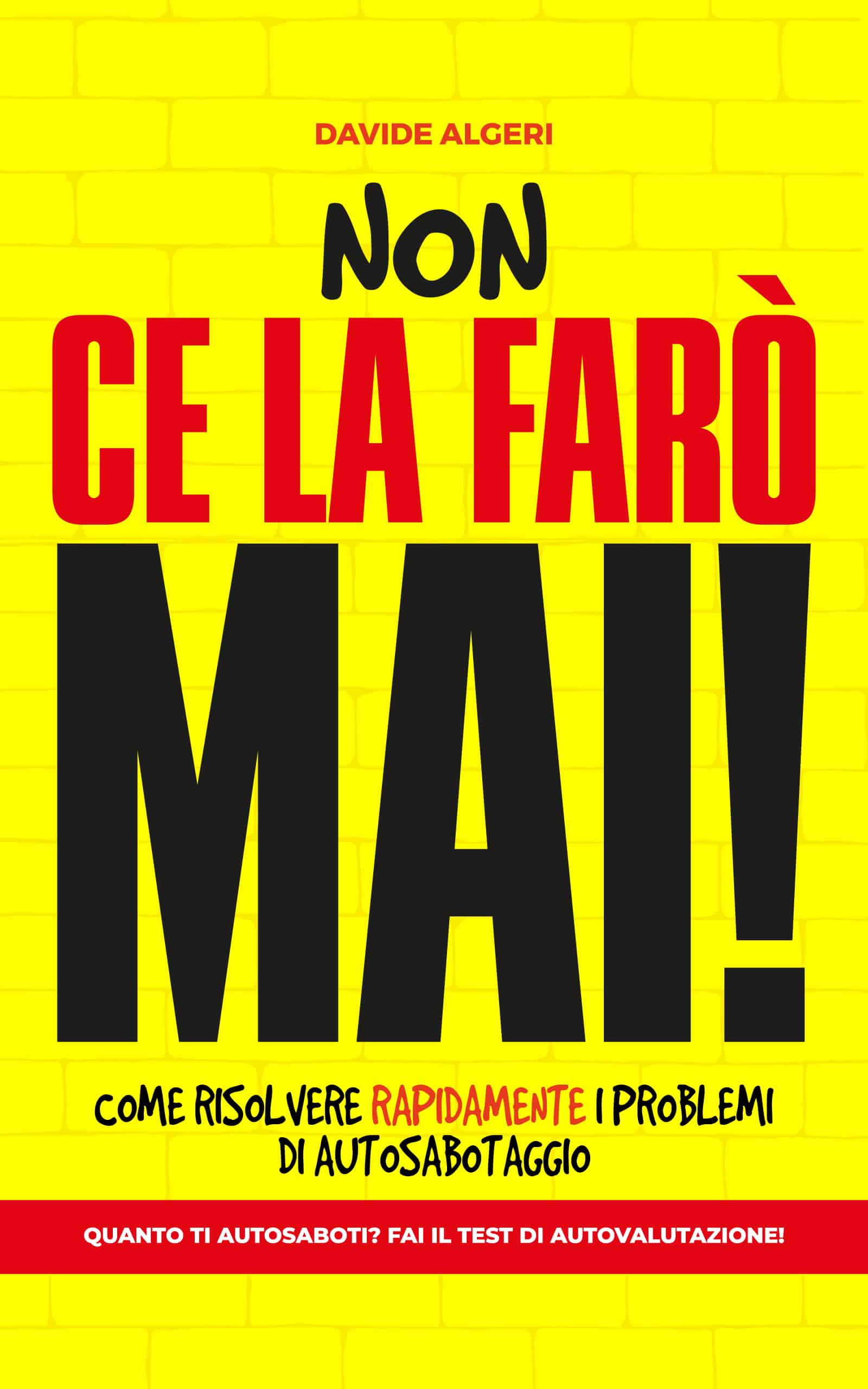 non ce la faro mai copertina